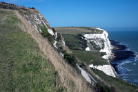 Kent