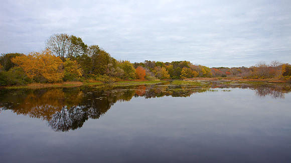 Mill Pond