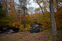 Autum Stream