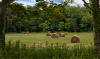 The Great Outdoors