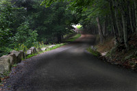Carriage Road