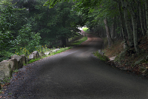 Carriage Road
