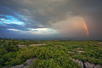 Stormy Sunshine
