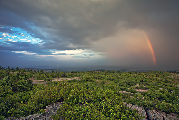 Stormy Sunshine