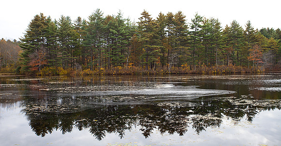 Pond