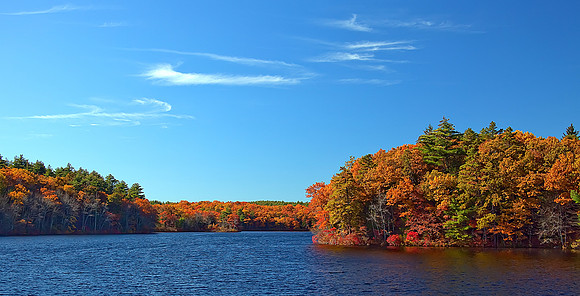 Autumn by the Pond