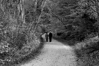 Stroll