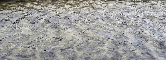 Ripples