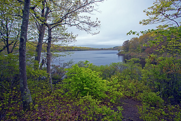 Carr Pond
