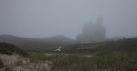 North Lighthouse Fog