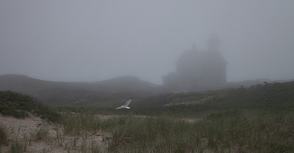 North Lighthouse Fog