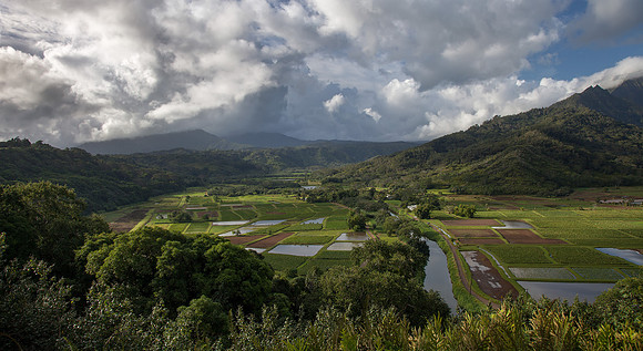 Hanalei Valley