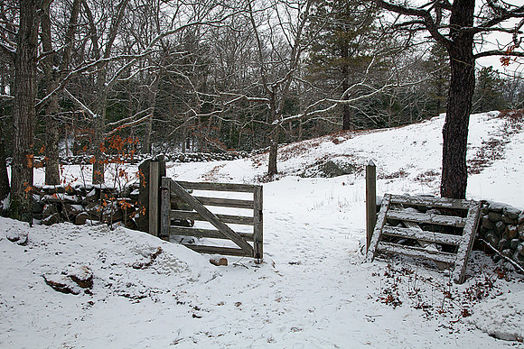 Quaker Burial Ground