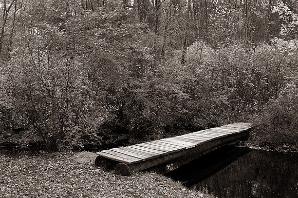 Bridge
