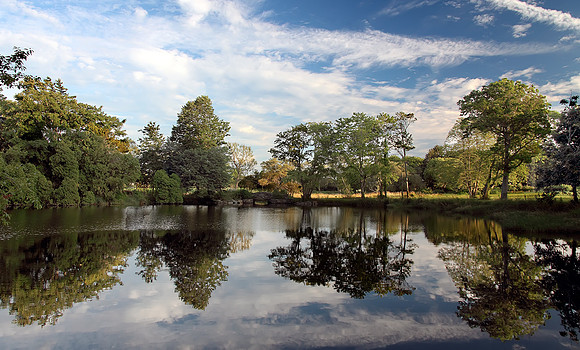 Mirror Pond