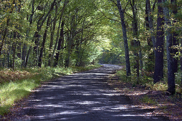 Carriage Road