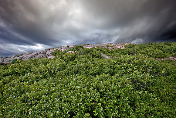 View from Cadillac Mt
