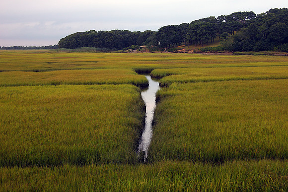 Stream