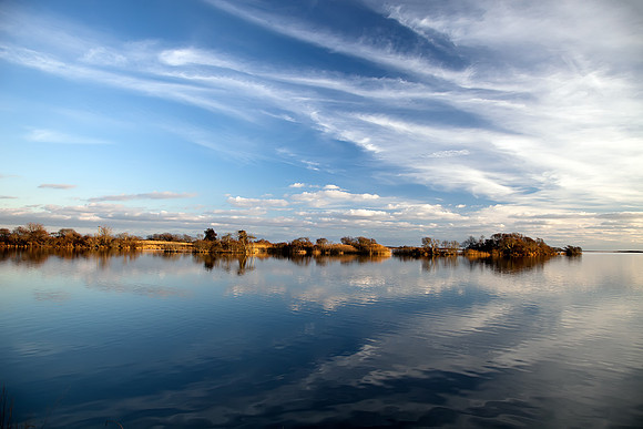 Pond