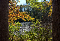 Arcadia National Forest