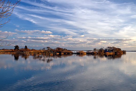 Pond