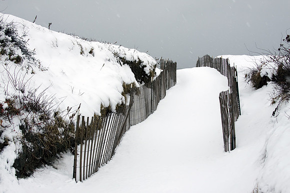 Snow Dune