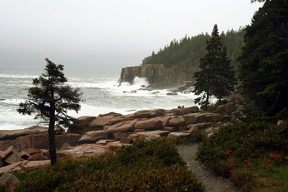 Otter Cliff