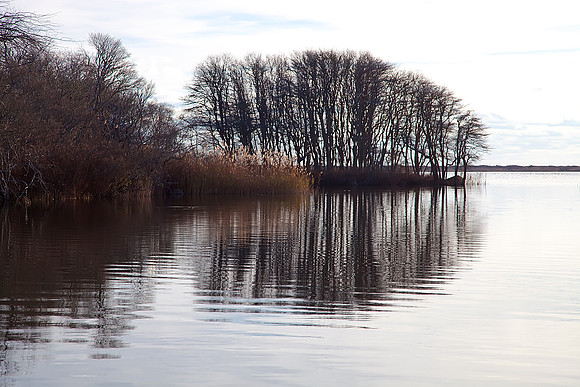 Pond