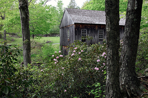 Sawmill
